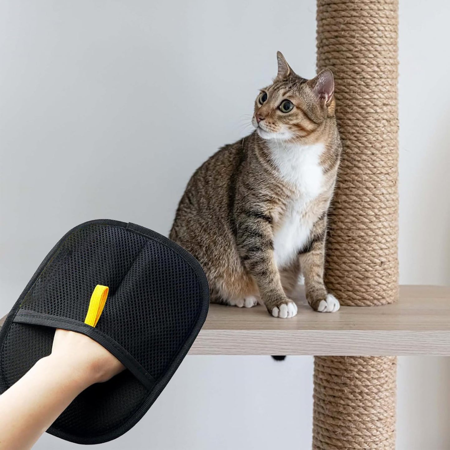 Furry Gloves Hair Removal